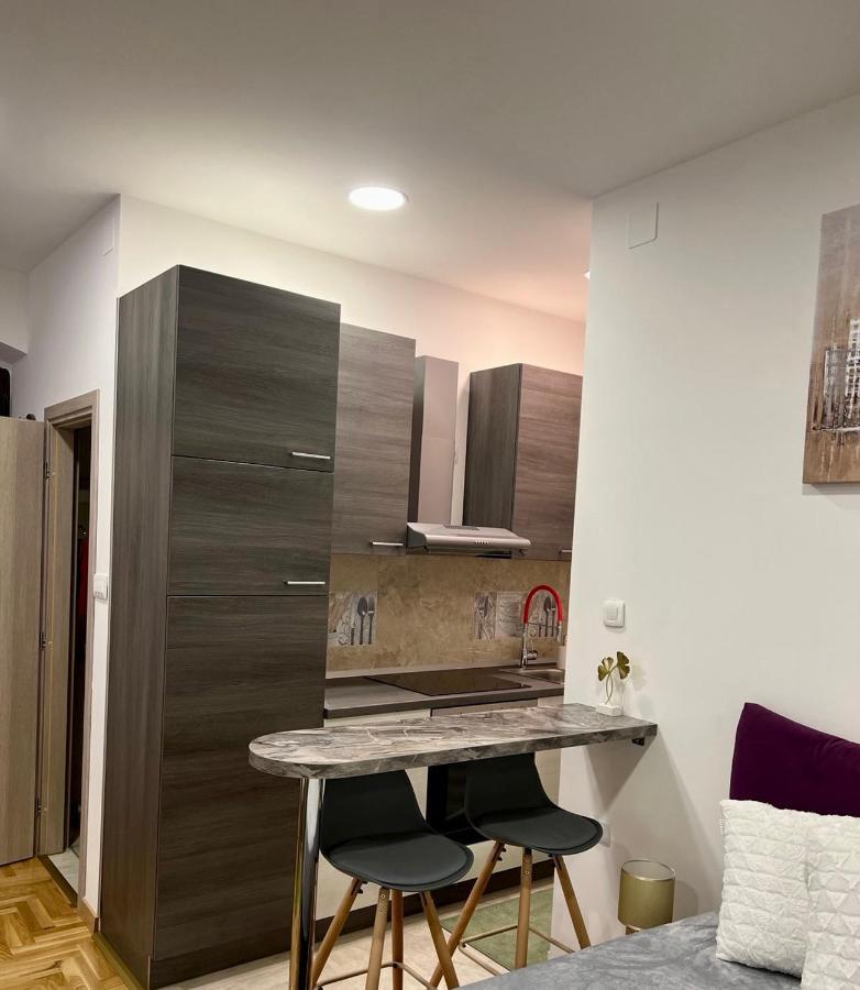 Sweet Studio Apartment Living In Rijeka Eksteriør bilde